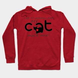 99 problems- Cat Hoodie